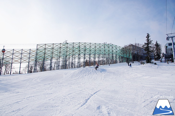 札幌国際スキー場 初滑り 華やかなシーズン到来！